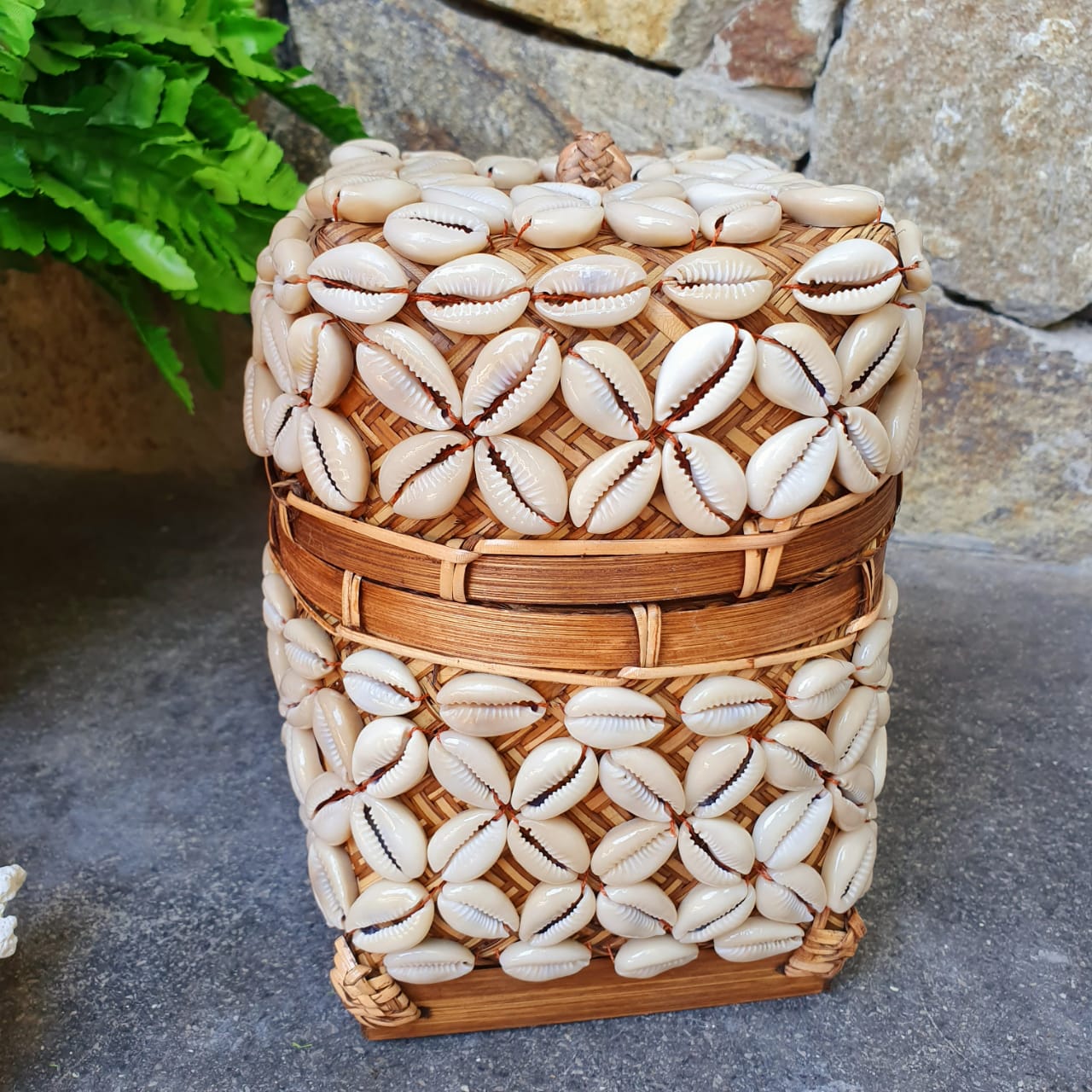 Handwoven Square Shell Storage Box Set of 2｜Boho Rattan Organizer｜Natural Decorative Basket for Home & Jewelry Storage