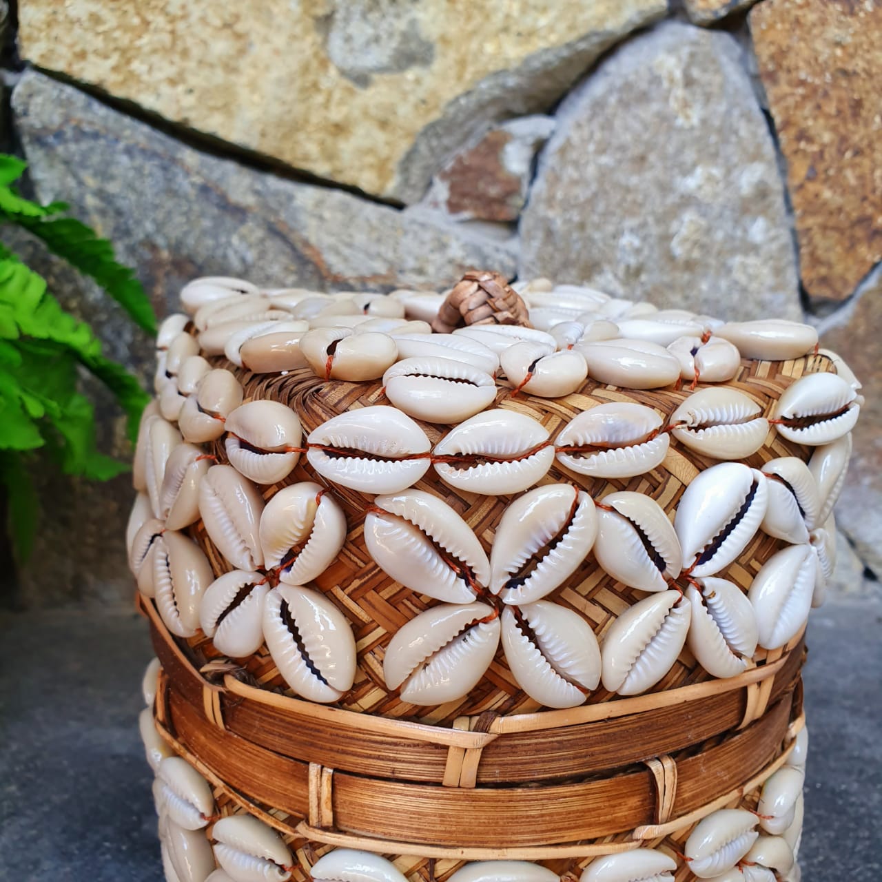 Handwoven Square Shell Storage Box Set of 2｜Boho Rattan Organizer｜Natural Decorative Basket for Home & Jewelry Storage